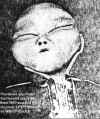 alien.jpg (168342 bytes)