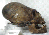 aliens.gif (39488 bytes)