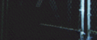 anim.gif (148515 bytes)