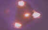 triangle.jpg (25387 bytes)
